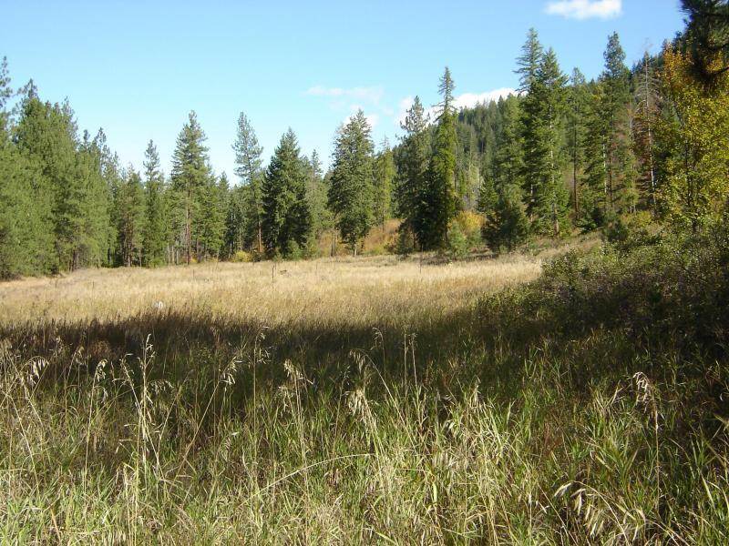 2425 N Hwy 25 - Photo 13