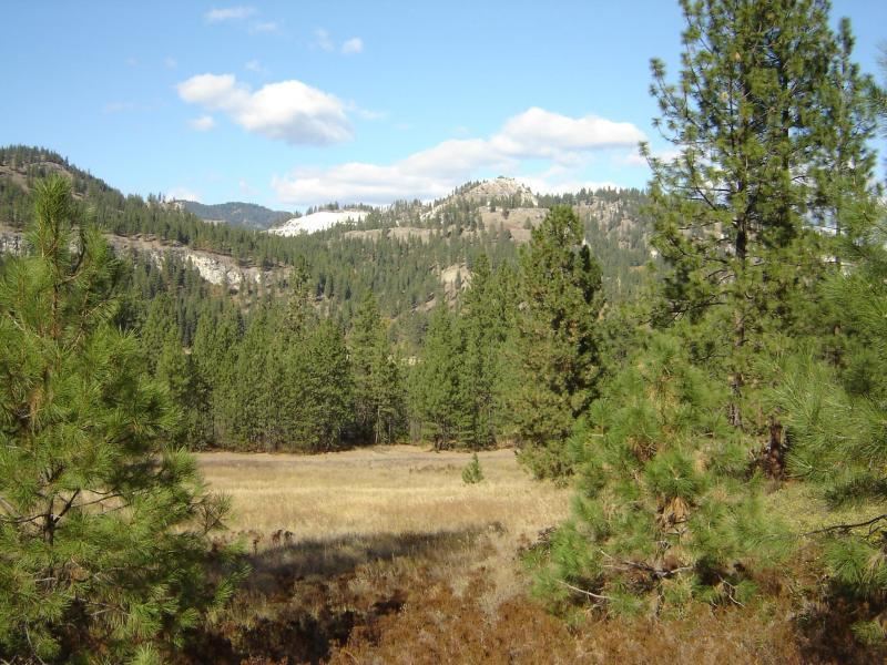 2425 N Hwy 25 - Photo 14