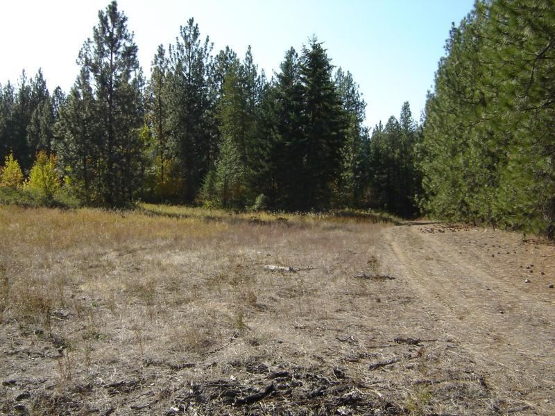 2425 N Hwy 25 - Photo 17