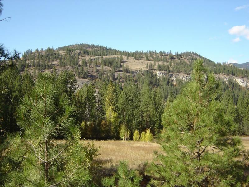 2425 N Hwy 25 - Photo 7