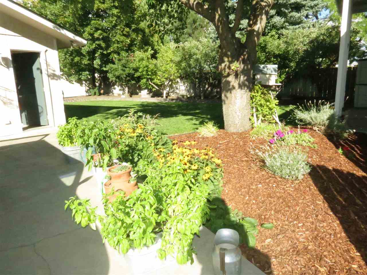 803 E SIERRA - Photo 13
