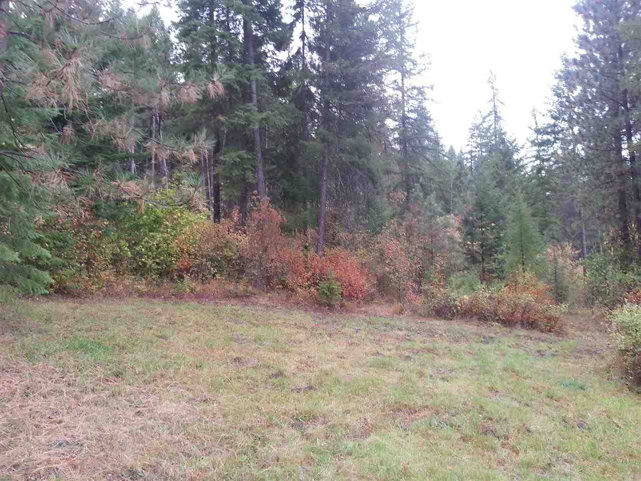 106 Barnaby Creek South Side Rd - Photo 19