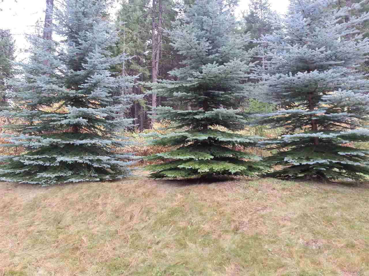 106 Barnaby Creek South Side Rd - Photo 4