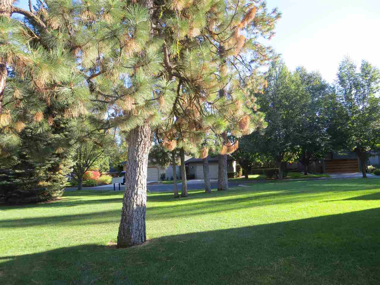5115 S St Andrews Ln - Photo 18