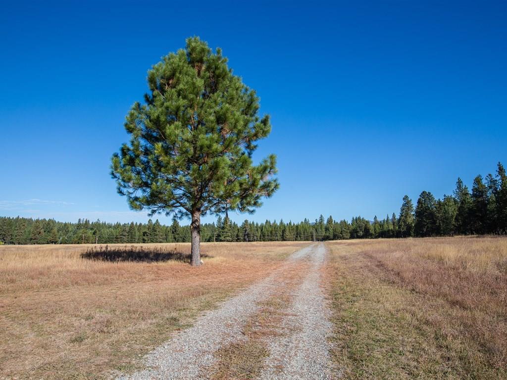 23712 E Morris Rd - Photo 18