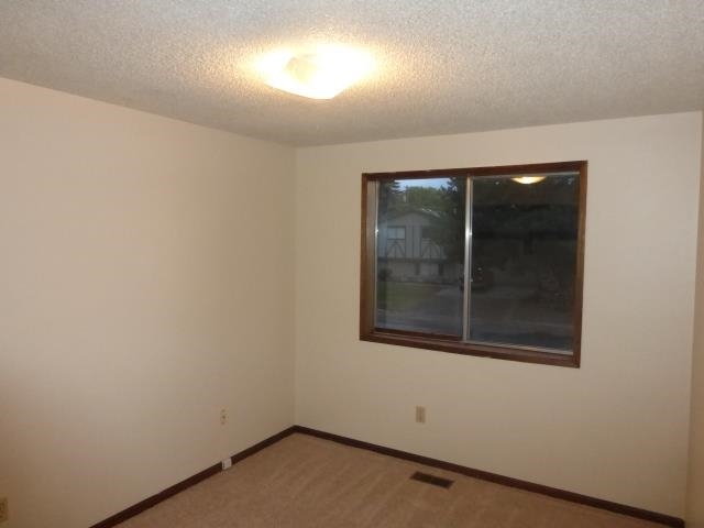 6209 S Cook St. - Photo 11