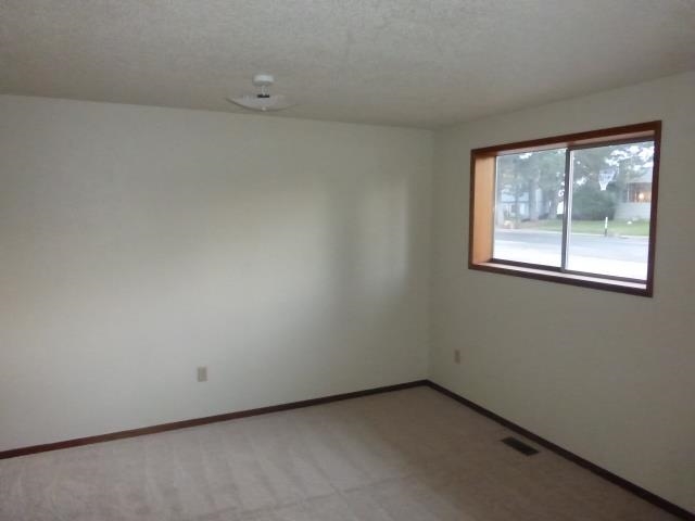6209 S Cook St. - Photo 12