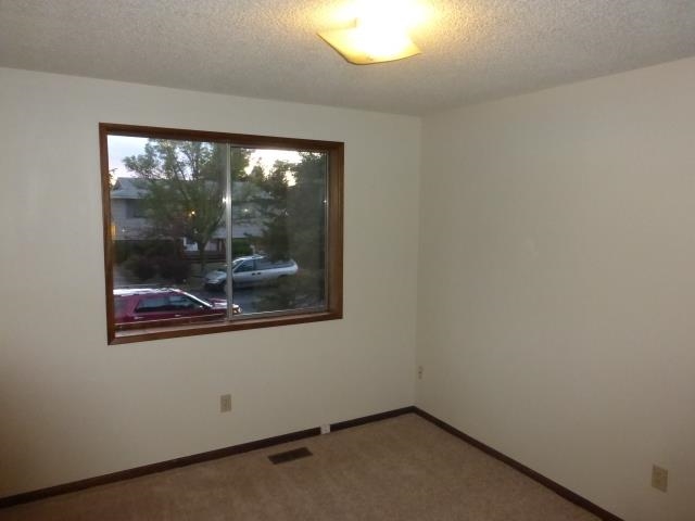 6209 S Cook St. - Photo 10