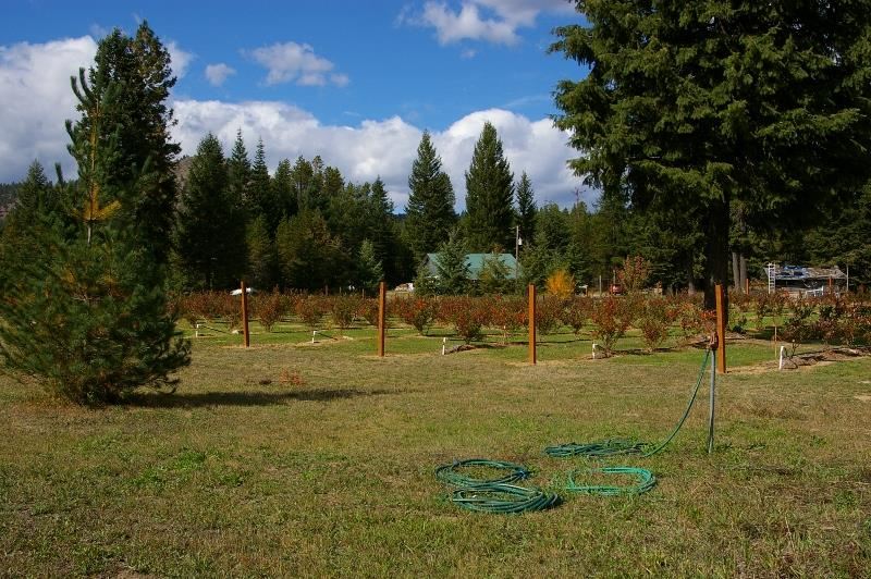 1542 Coyote Trail Rd - Photo 11