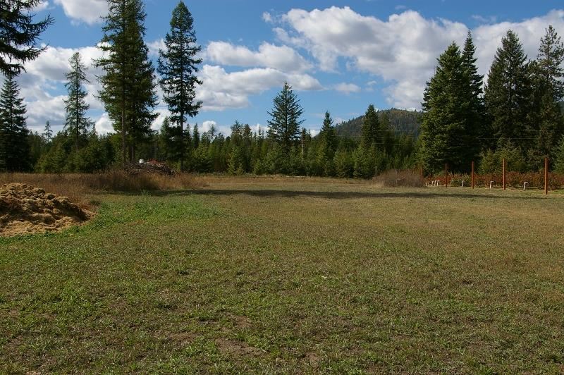 1542 Coyote Trail Rd - Photo 10