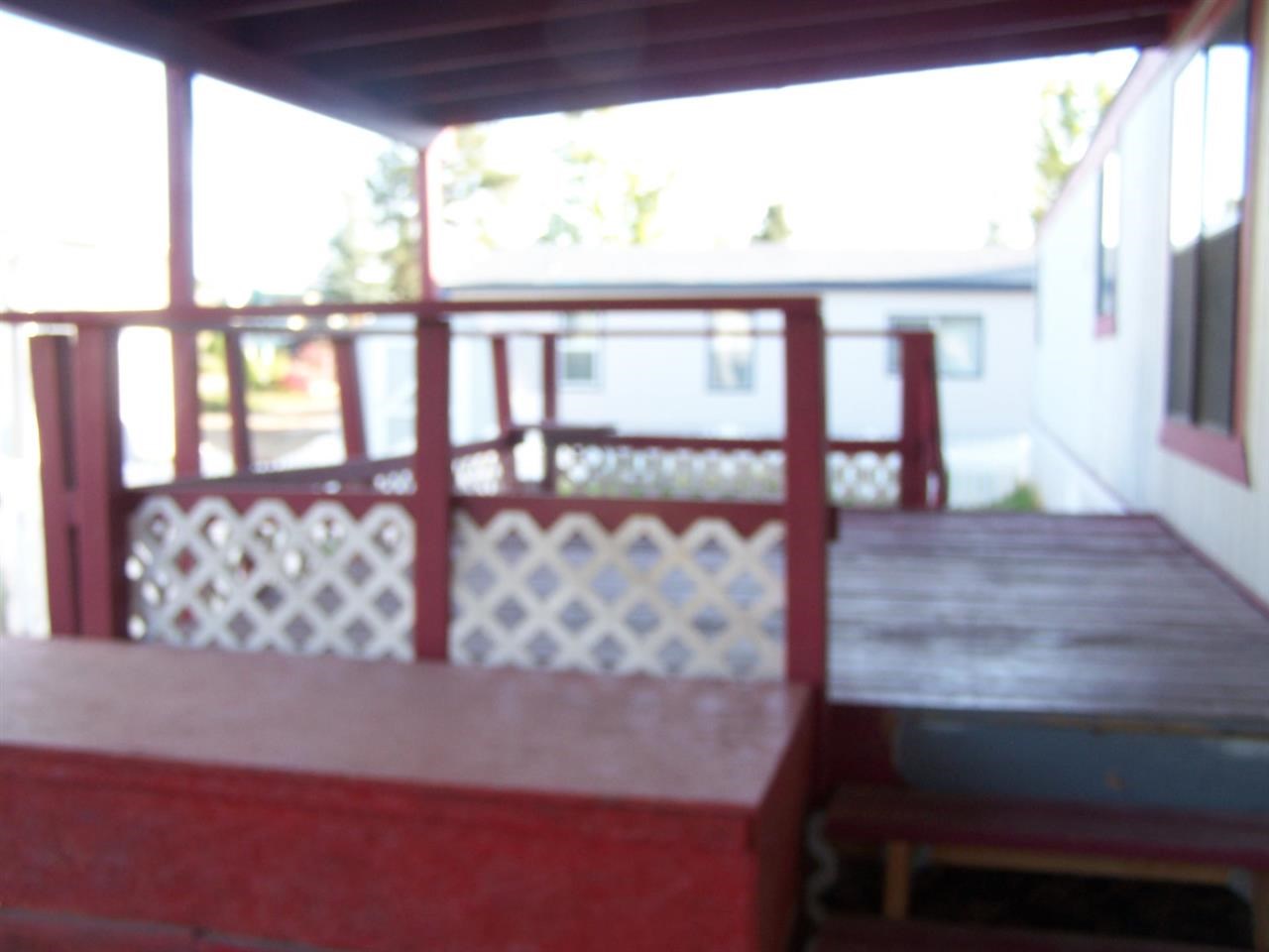 3414 E Yankee Ln - Photo 9