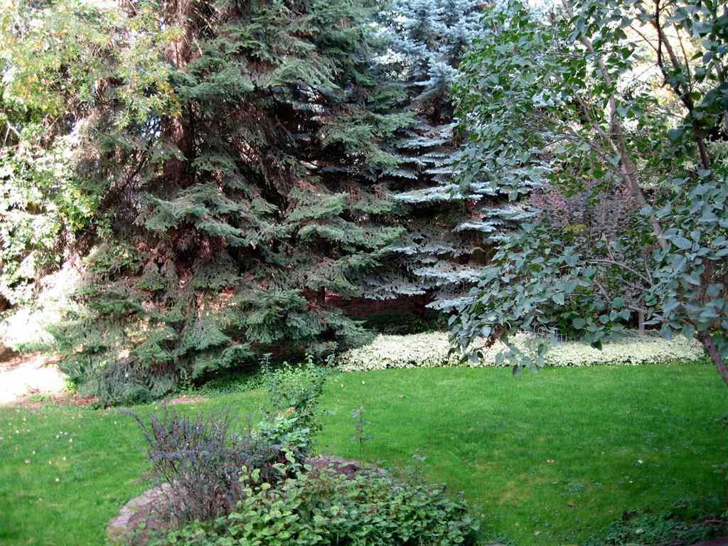 4221 N Ella Rd - Photo 17