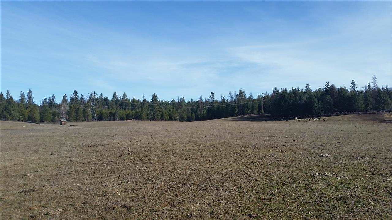 4807 Whittier Rd - Photo 14