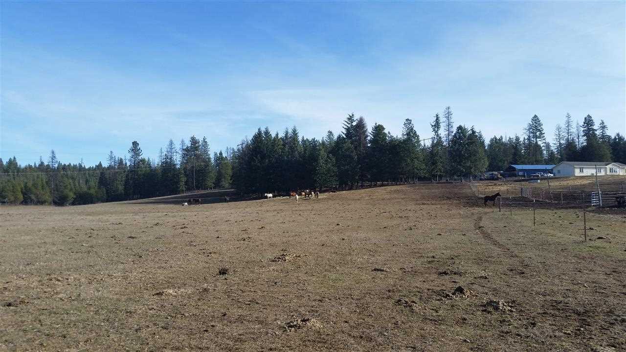 4807 Whittier Rd - Photo 17