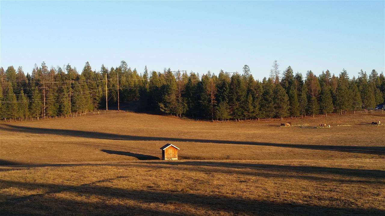4807 Whittier Rd - Photo 18