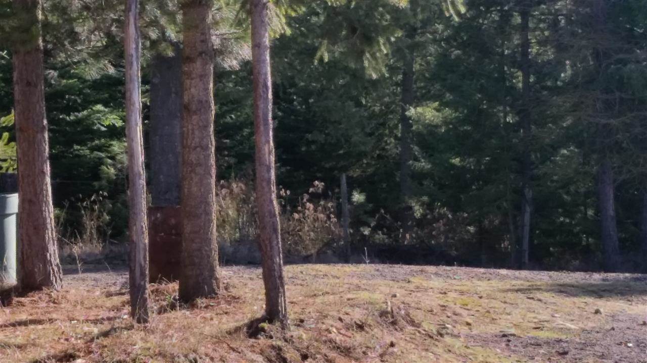 4807 Whittier Rd - Photo 8