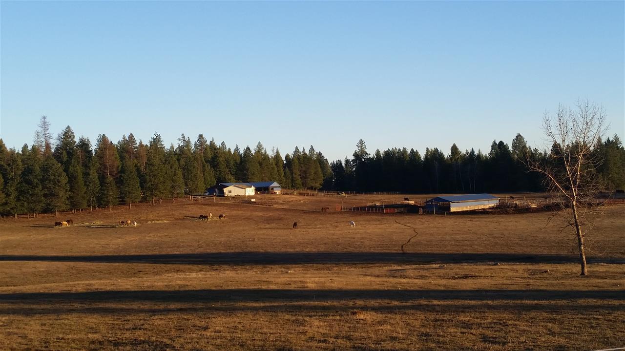 4807 Whittier Rd - Photo 10