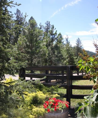 18417 N Abigail Ln - Photo 18