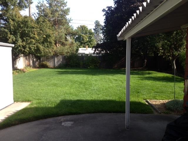 5528 N Hemlock - Photo 14