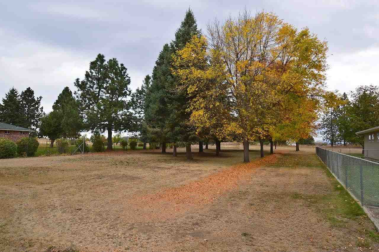 3524 W Vel View - Photo 12