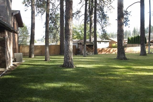 807 W Teal Ave - Photo 6