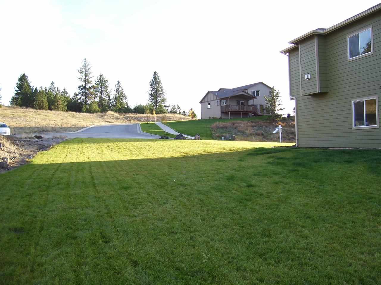 10819 Skyline - Photo 18