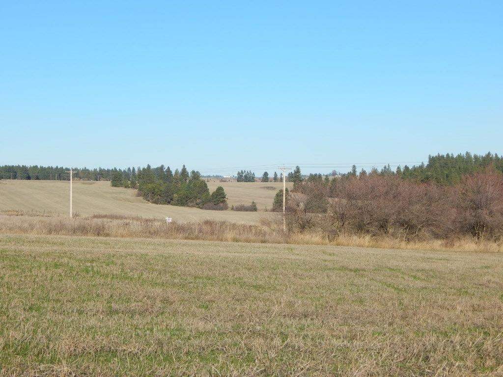 17313 N Austin Rd - Photo 12