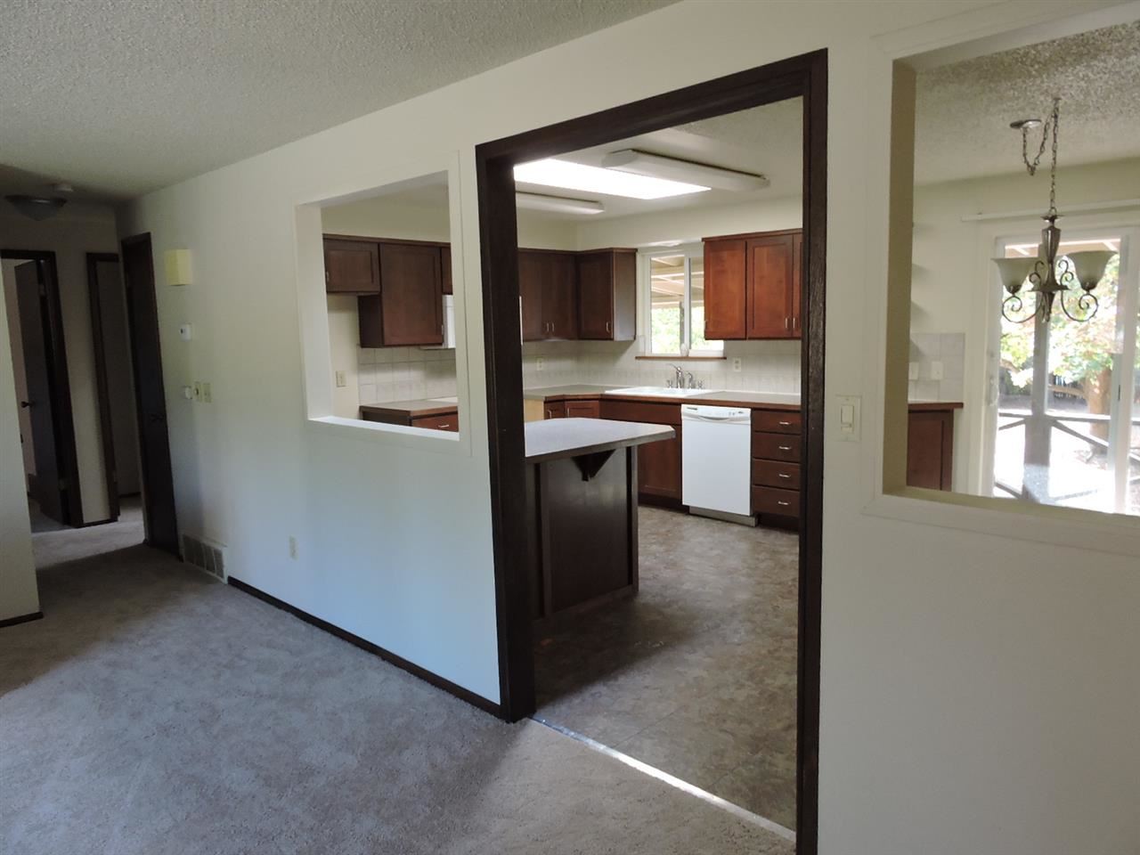 5311 N DRISCOLL Blvd - Photo 5