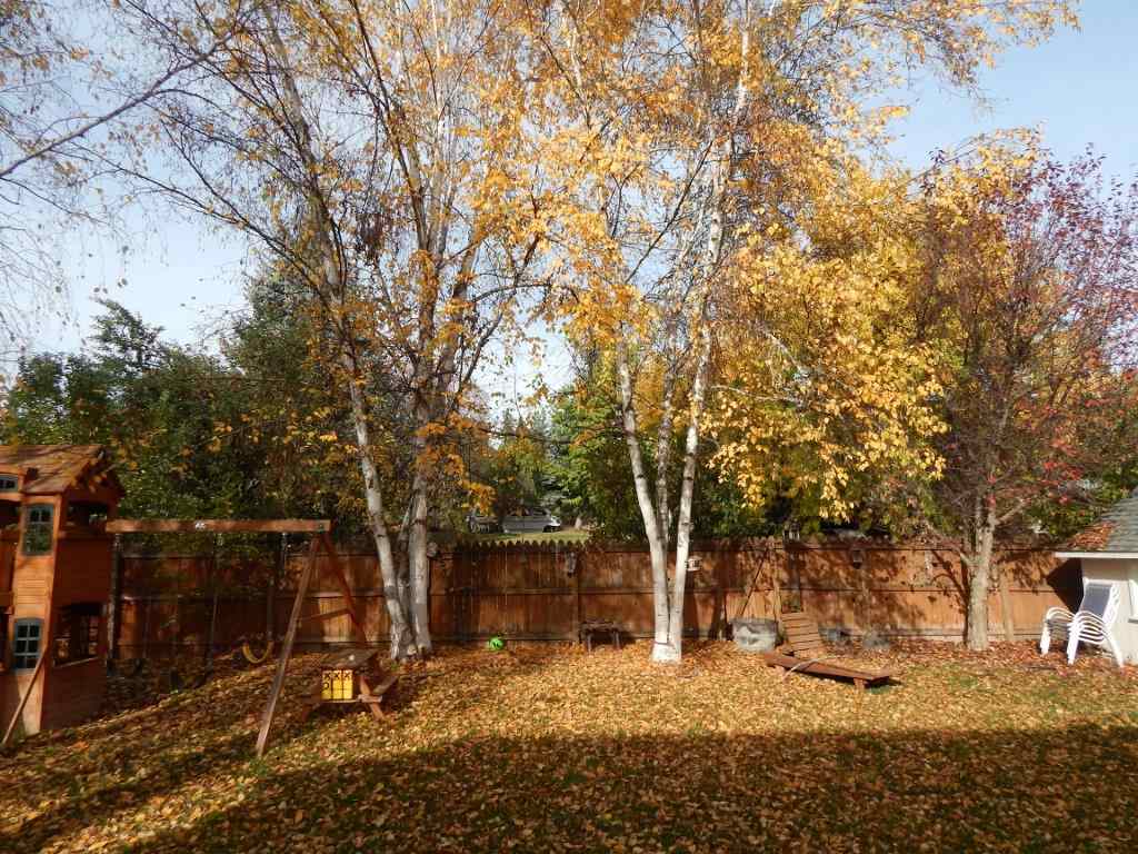 1767 E Ivy Ave - Photo 3