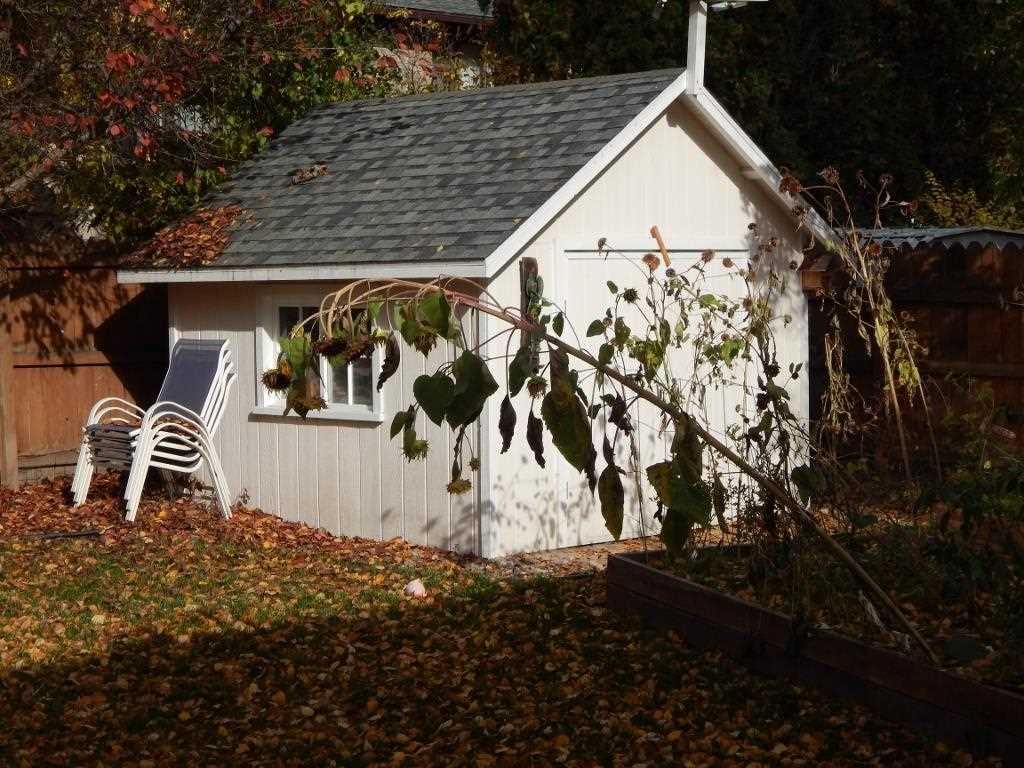 1767 E Ivy Ave - Photo 4