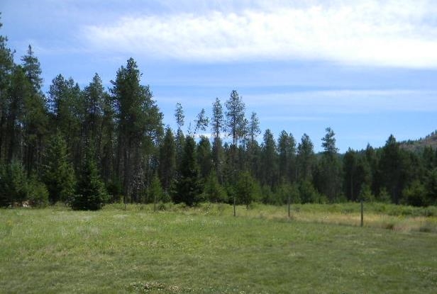 291 Lone Pine Rd - Photo 16