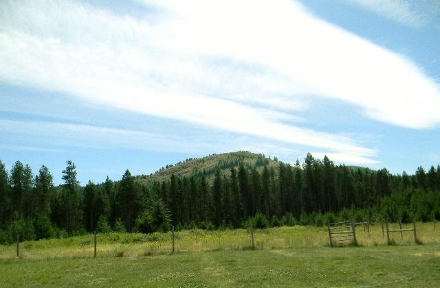 291 Lone Pine Rd - Photo 17