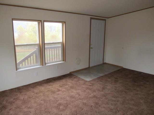 1648 Swiss Valley Rd - Photo 4