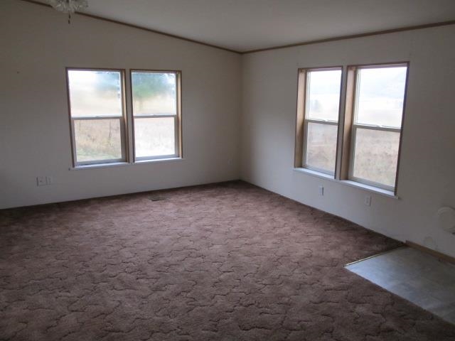1648 Swiss Valley Rd - Photo 5