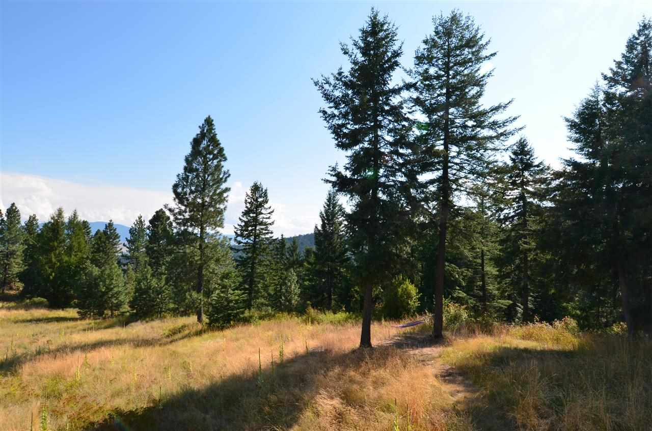 18404 E Black Bear Ln - Photo 6