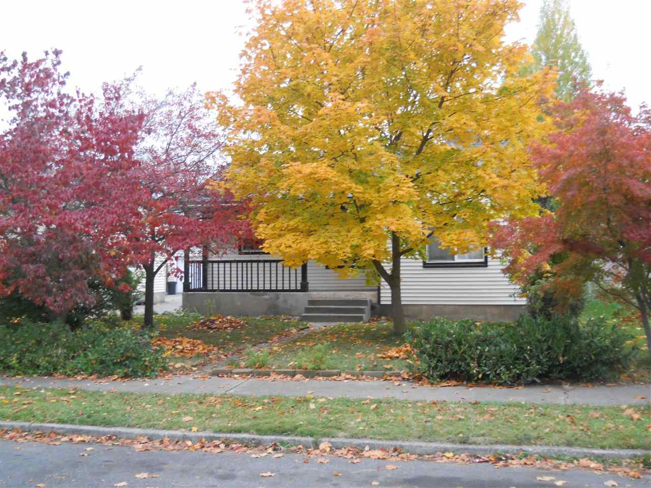 4123 N CEDAR St - Photo 18