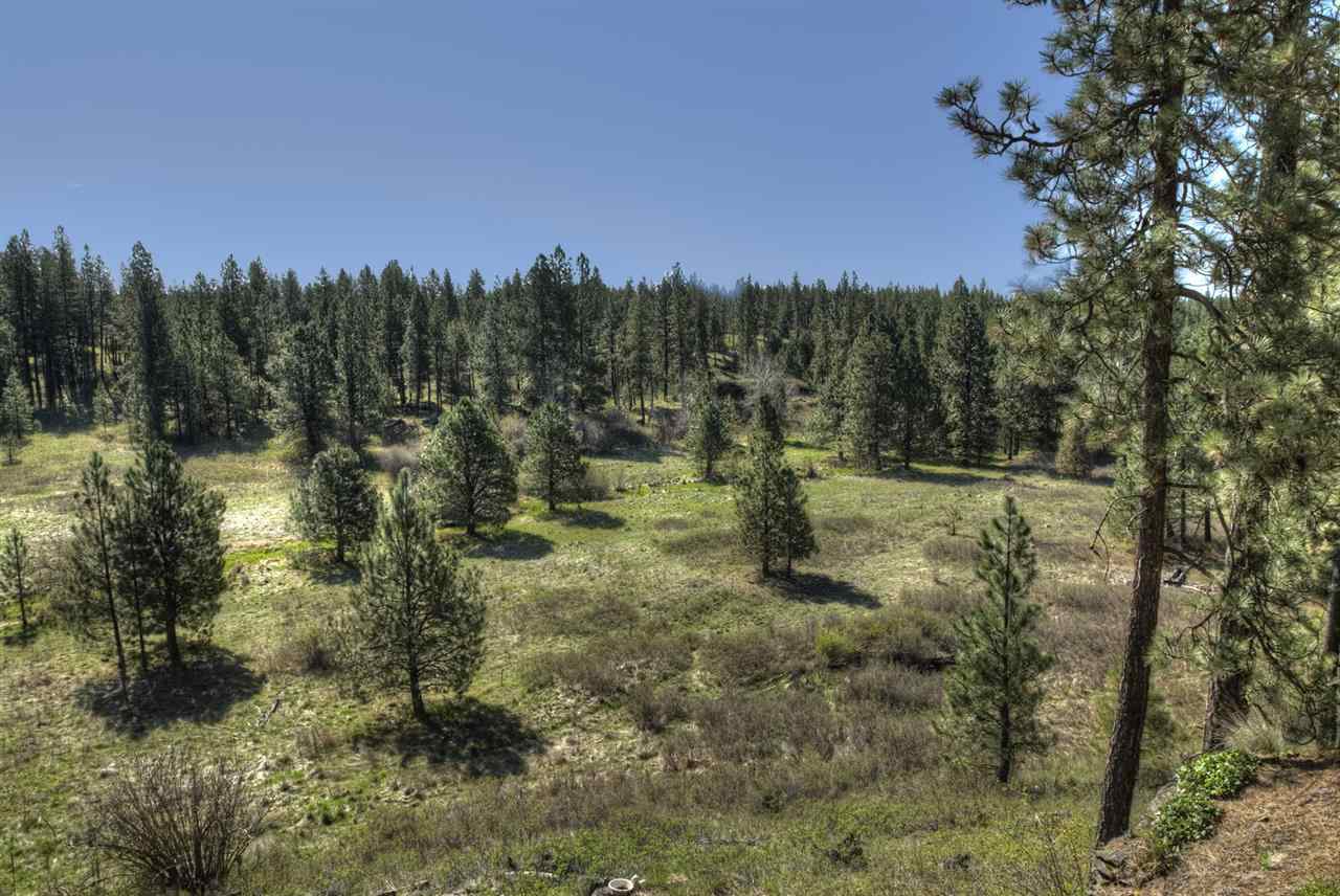 33301 S North Pine Creek Rd - Photo 3