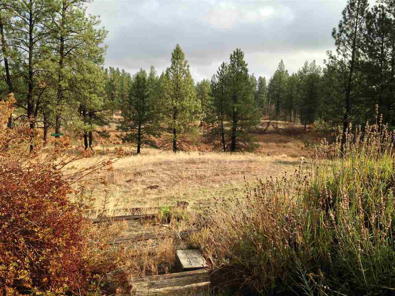 14521 S Ben Apple Rd - Photo 14