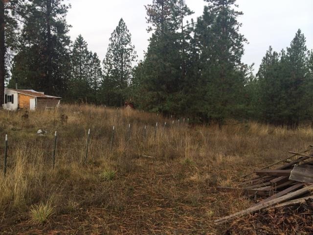 12311 E Laurel Rd - Photo 4