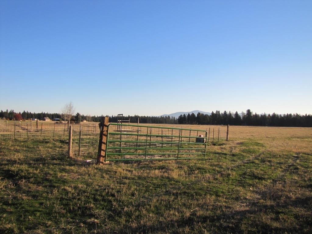 19212 N Austin Rd - Photo 19