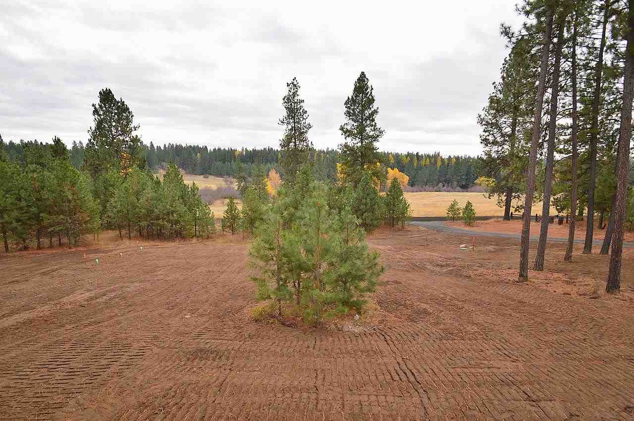10305 E Connor Rd - Photo 4