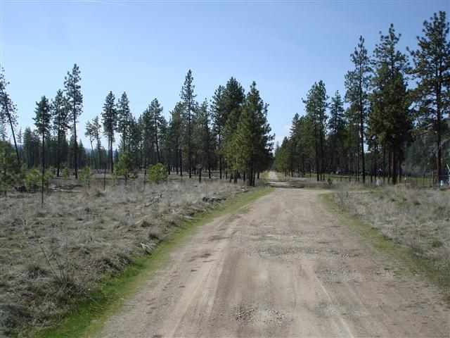 7292 K HWY 291 - Photo 20