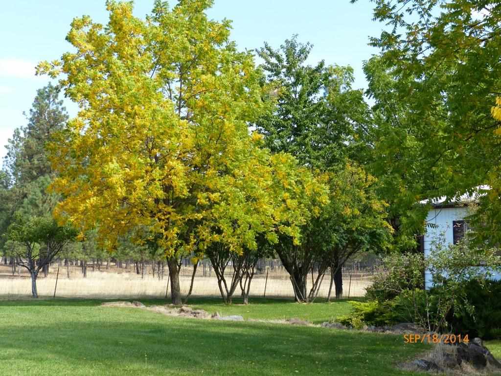 14708 S Salnave Rd - Photo 14