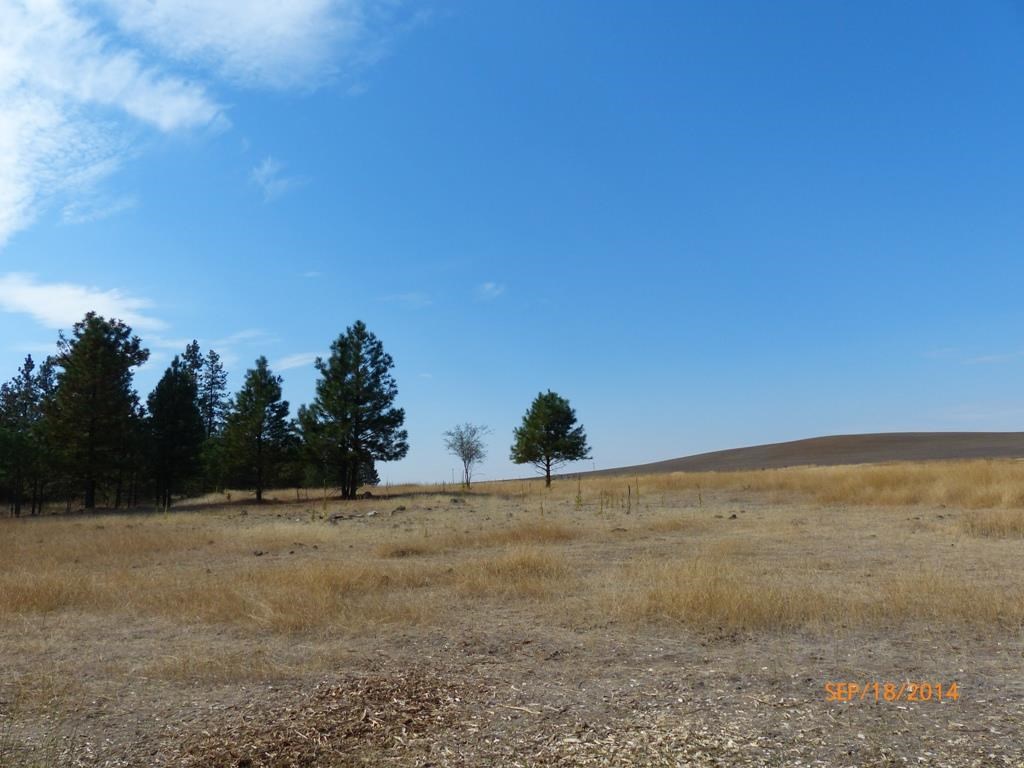 14708 S Salnave Rd - Photo 16
