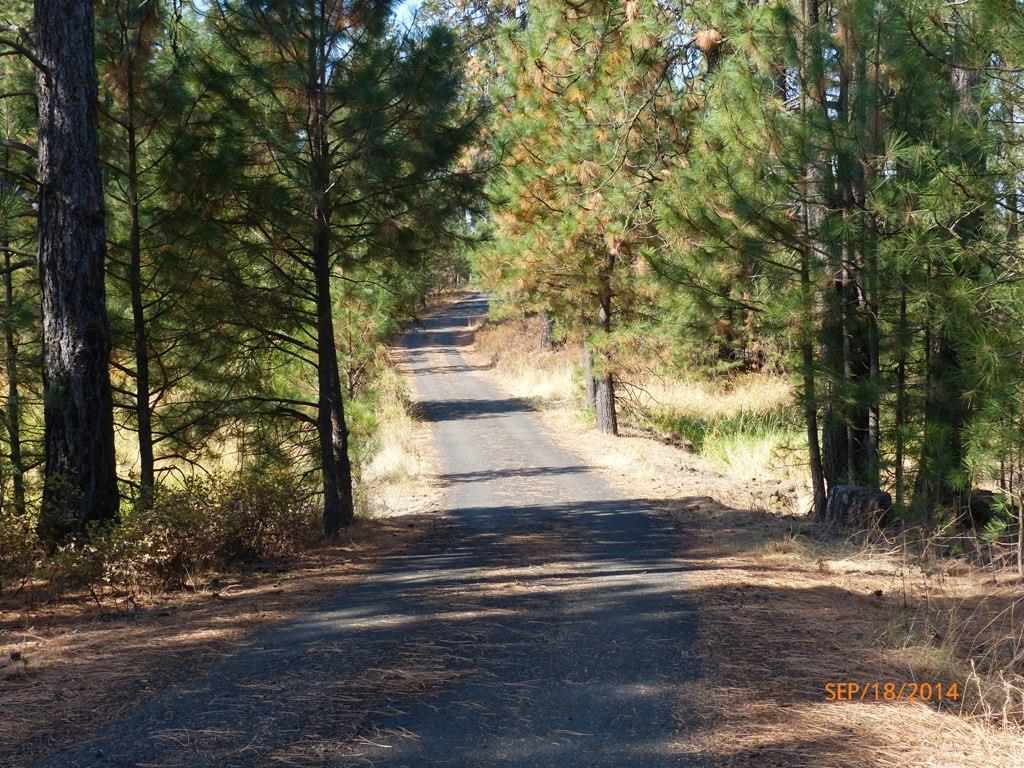 14708 S Salnave Rd - Photo 19