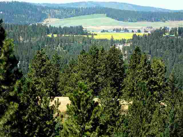 4921 S Elk Creek Ln - Photo 3