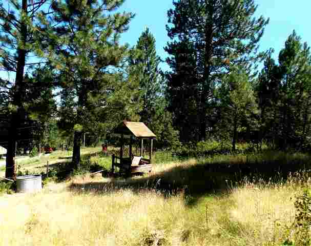 4921 S Elk Creek Ln - Photo 5