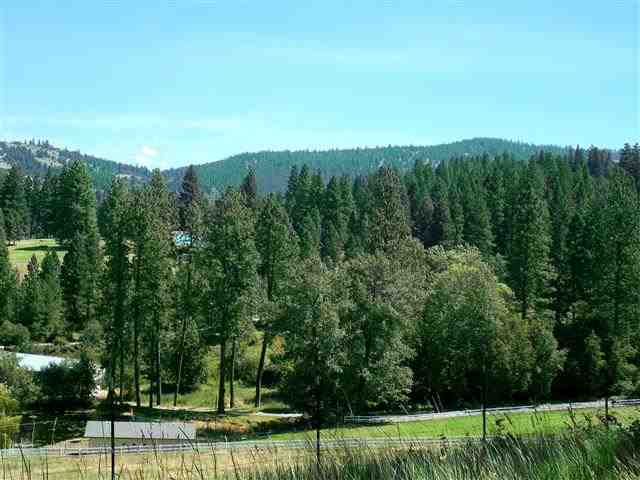 4921 S Elk Creek Ln - Photo 10