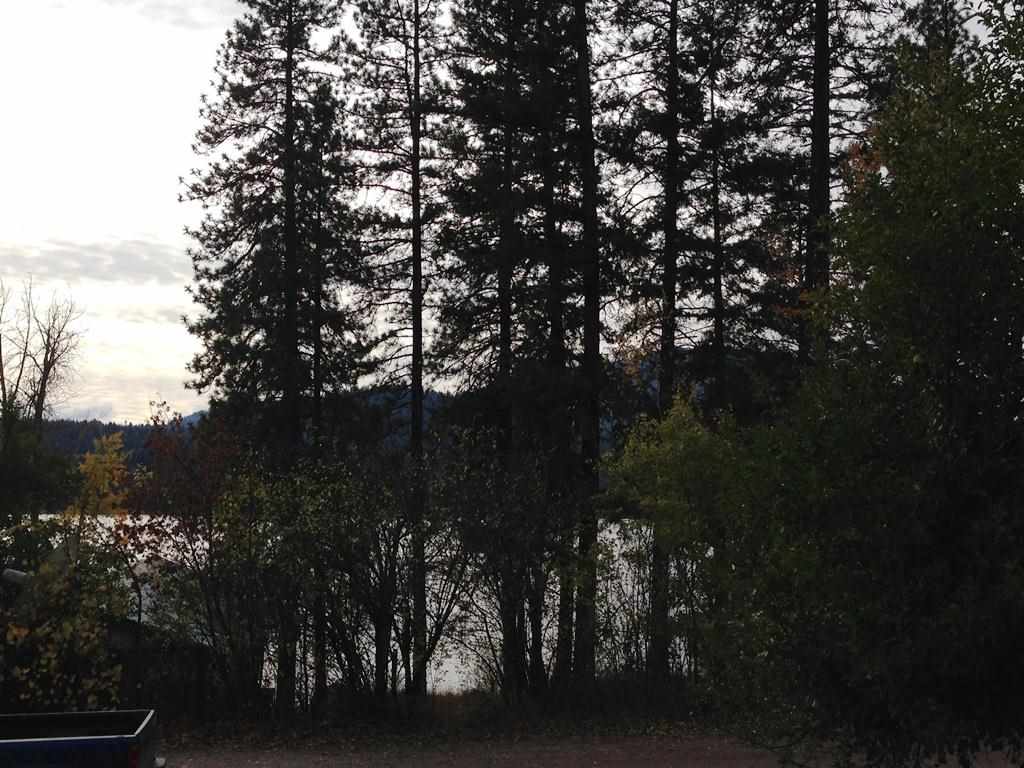 33245 SE Van Dissel - Photo 12