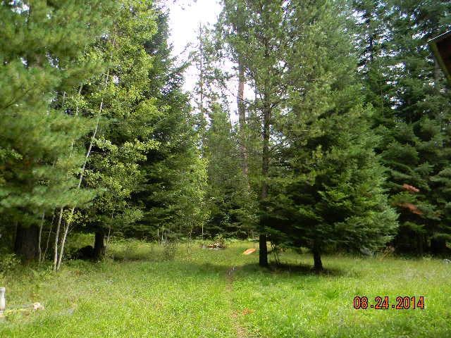 323 Conklin Meadows Road - Photo 14
